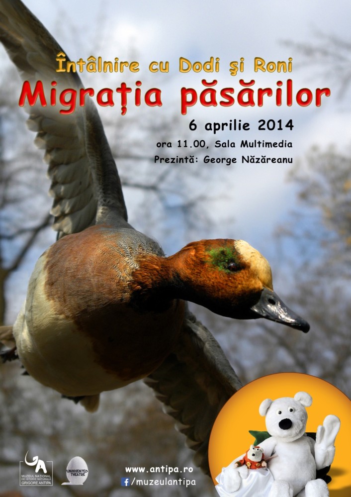 O noua intalnire cu Dodi si Roni: Migratia pasarilor